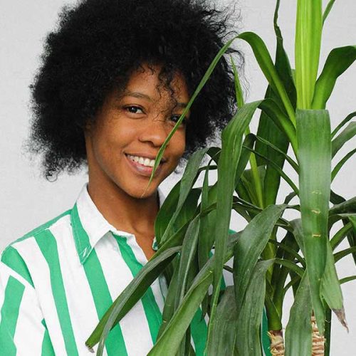 10 Plantas Fáceis de Cultivar em Apartamentos ou Casas com Pouca Luz